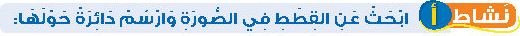 نشاط أ ابحث عن القطط في الصورة وارسم دائرة حولها